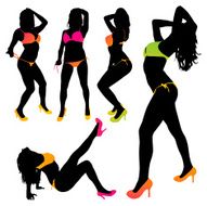 Sexy Silhouettes N2