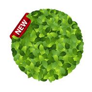 Green eco friendly label Vector illustration