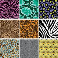 Animals Skin Pattern
