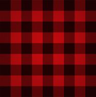 Lumberjack plaid pattern vector illustration N7