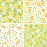 Floral patterns N8