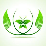 Eco butterfly between the leaf