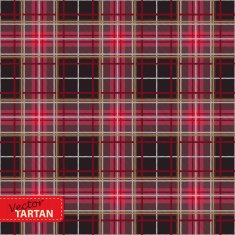 Seamless tartan pattern N84