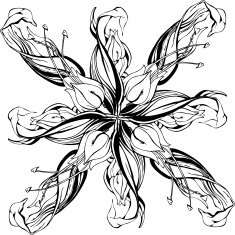 Floral ornament N48