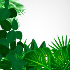 Tropical leaves Floral design background N5