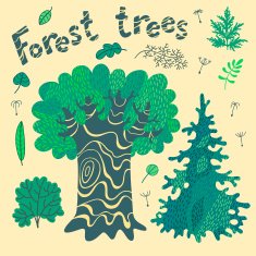 Forest trees bushes leaves N3