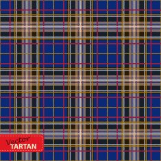 Seamless tartan pattern N85