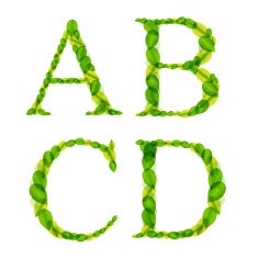alphabet letters made from spring green leaves Vector illustration N5