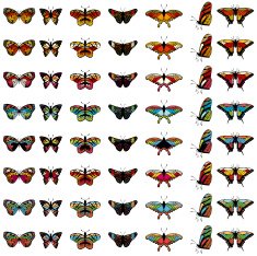 Set of butterflies N3