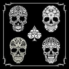 skull Ornamental Collections