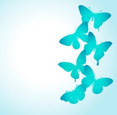 background with a border of butterflies flying N7