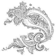 Hand Drawn Paisley ornament N19