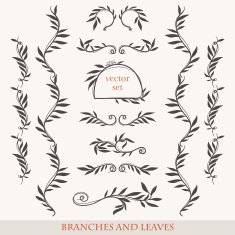 Elegant floral elements with branches and leaves N5
