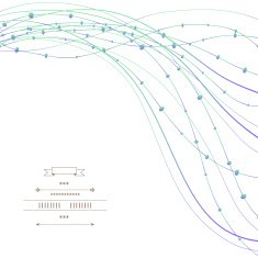 Pattern with lines N2