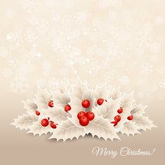 Vector christmas background with snowflakes and holly N2