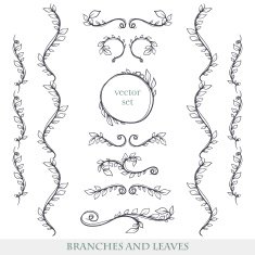 Elegant floral elements with branches and leaves N6