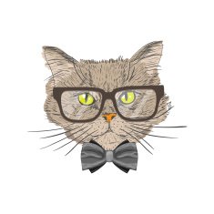 Portrait of hipster cat