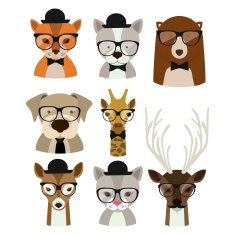 Animal hipster design N19