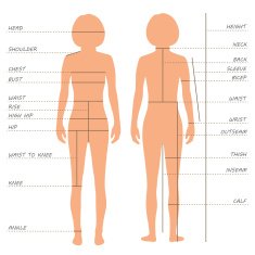 body measurements size chart
