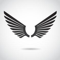 Wing icon isolated on white background N5