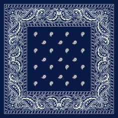 Blue paisley bandana N2