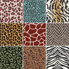 animal skin swatch