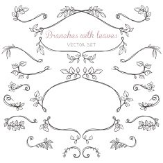 Elegant floral elements with branches and leaves N7