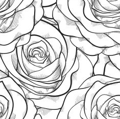 beautiful black and white seamless pattern in roses with contours N5