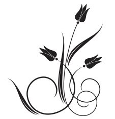 Tulip N6
