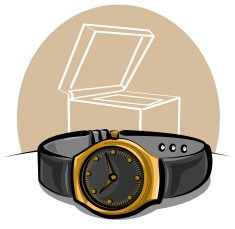 Wristwatch N10