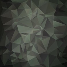 Modern military camouflage background N3