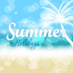 Summer holidays vector background N15
