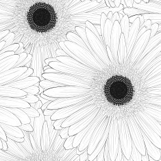 Beautiful monochrome black and white seamless background with gerbera flower