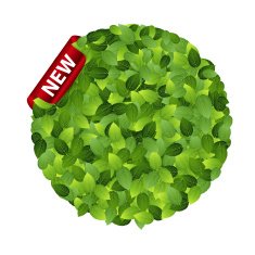 Green eco friendly label Vector illustration
