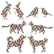 Animals N51