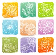 Summer banners with flowers