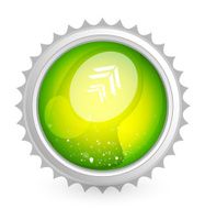 Vector green shiny button