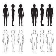 Human Body Anatomy N6