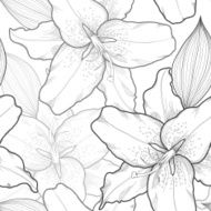 beautiful seamless black-and-white background with lilies hand-drawn