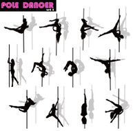 Pole dancer set