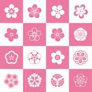 Petal patterns of plum blossom