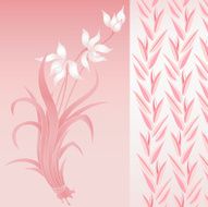 Orchid (vector)