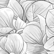 Beautiful monochrome black and white seamless background with magnolia