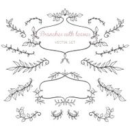 Elegant floral elements with branches and leaves N8