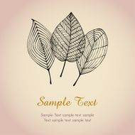 Illustration set of stylized graphic autumn leaves