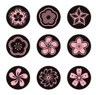 sakura flower set