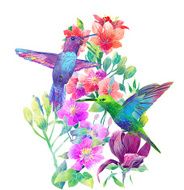 Exotic flowers and birds N2