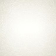 Vector paper background N2