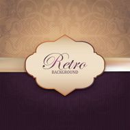Vintage Frame with damask lace pattern N6