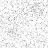 Beautiful monochrome black and white seamless background with flowers dahlia N3